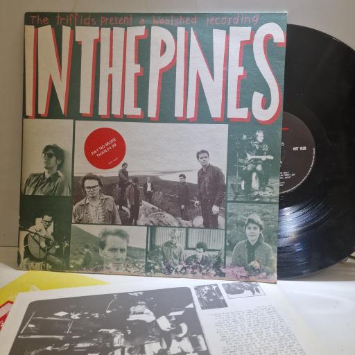 THE TRIFFIDS In The Pines, 12” Vinyl LP, HOT 1028