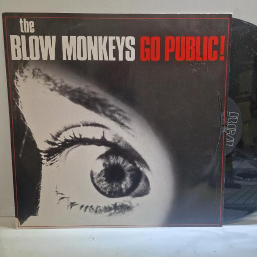 THE BLOW MONKEYS Go public! 12” single. RCAT398