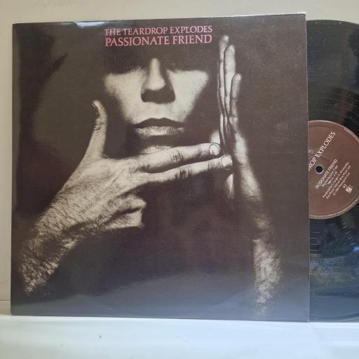 THE TEARDROP EXPLODES Passionate friend, Christ versus Warhol 12” single. TEAR512