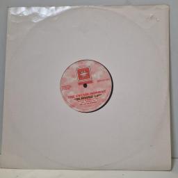 THE ESTABLISHMENT, Burning Up, SLICK SLUT 009, 12" SINGLE