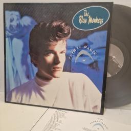 THE BLOW MONKEYS, Animal Magic, PL 70910, 12" LP