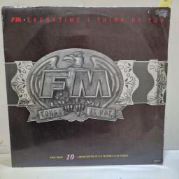 FM, Everytime I Think Of You, DINK QT2, 10" EP