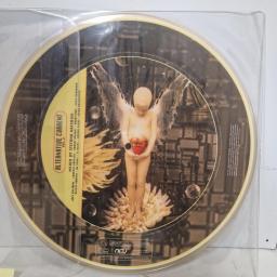 STEFANO NOFERINI Alternative Current Vol.2 PDACV 2008 12” PD