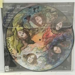 THE CHAPIN SISTERS / WINTER FLOWERS The Chapin Sisters / Winter Flowers MAN101 12” picture disc