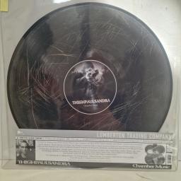 THIGHPAULSANDRA Chamber Music v 12” PD