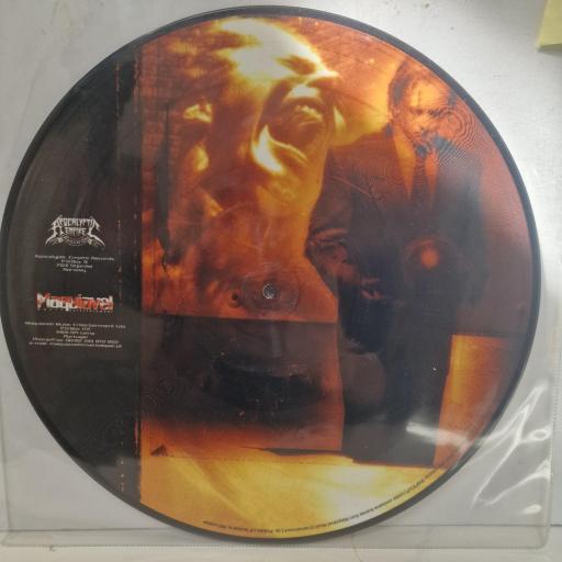 MALEVOLENCE Martyrialized Apocalypse 006PICLP 12” PD
