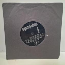 THE JIMI HENDRIX EXPERIENCE Red House / Spanish Castle Magic