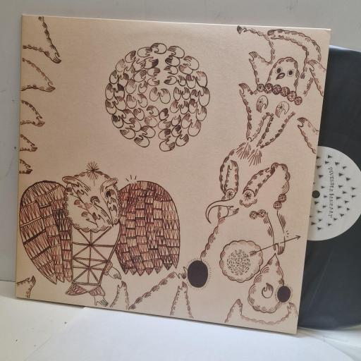 DEVENDRA BANHART Rejoicing In The Hands / Niño Rojo YG26 2x 12” LP