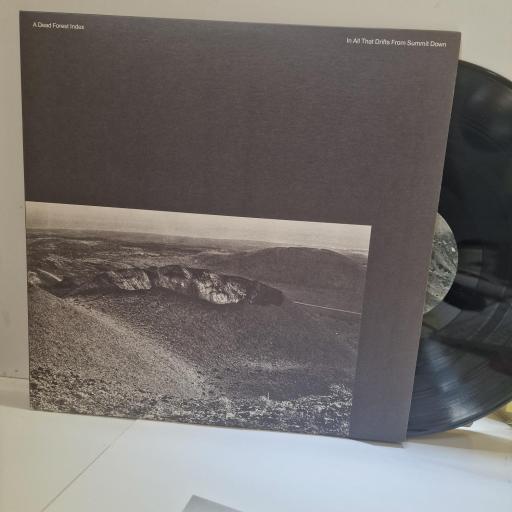 A DEAD FOREST INDEX In All That Drifts From Summit Down SH 151 12” LP
