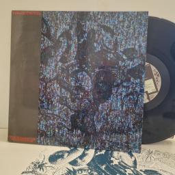 VIRGIN PRUNES The Hidden Lie (Live In Paris 6/6/86) BABY 008 12” LP