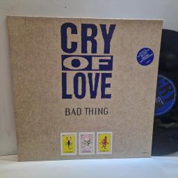 CRY OF LOVE Bad Thing 660046 6 12”