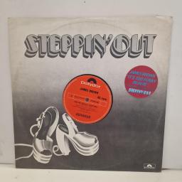 JAMES BROWN It’s Too Funky In Here POSPX 68 12” LP