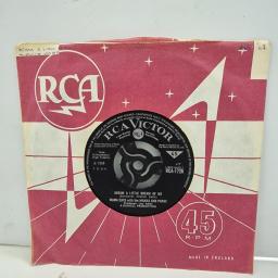MAMA CASS, THE MAMAS AND PAPAS Dream A Little Dream Of Me RCA 1726