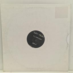 DJ-MAYHEM Say Yeah / Together SY001 12” SINGLE