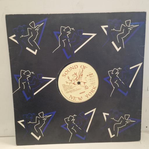 INDEEP When Boys Talk SNYL 3 12” single