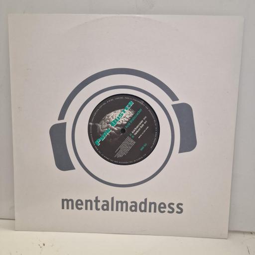 PUNK BUSTER Acid Braincracker MMR-061 12” LP