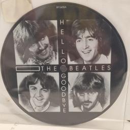 THE BEATLES Hello Goodbye RP 5655 7” SINGLE picture disc