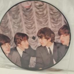 THE BEATLES I Want To Hold Your Hand RP5084 7” SINGLE picture disc