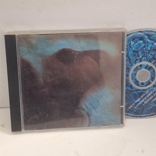 PINK FLOYD Meddle 7243 8 29749 2 5 CD