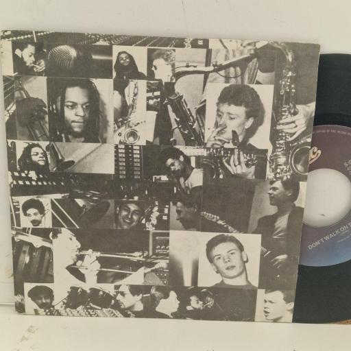 UB 40 Don’t Walk On The Grass EPC A1334 7” SINGLE