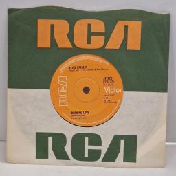 ELVIS PRESLEY Burning Love It’s a Matter of Time RCA 2267 7" Single
