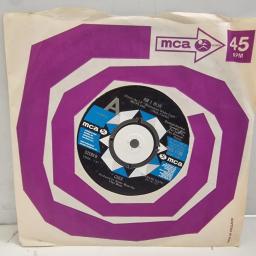 CHER Am I Blue How Long Has This Been Going On MUS 1196 7" Single