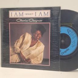 GLORIA GAYNOR I Am What I Am More Than Enough CHS 2765 7" Single