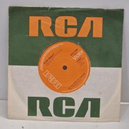 ELVIS PRESLEY We Can Make the Morning Until it’s Time for You to Go RCA 2188 7" Single