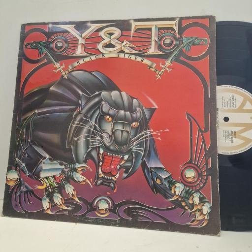 Y & T Black Tiger AMLH 64910 12” LP