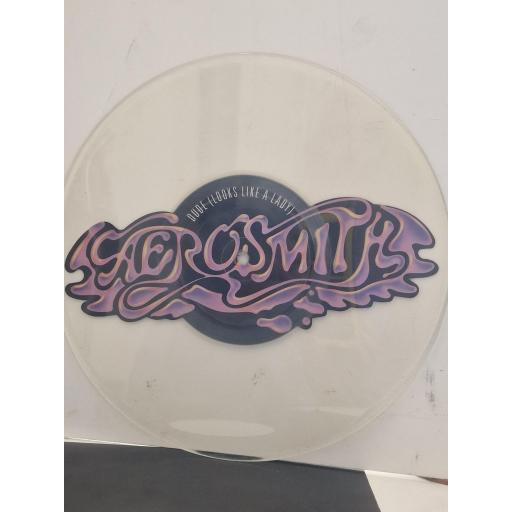 AEROSMITH Dude (Looks Like a Lady) GEF 72P 12” LP UNCUT PICTURE SINGLE