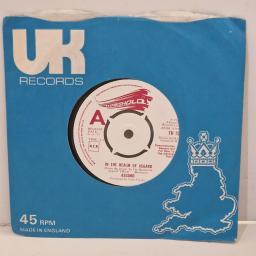 ASGARD In the Realm of Asgard Town Crier TH 15 7” Single