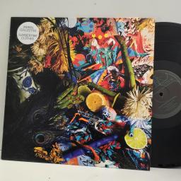 ANIMAL COLLECTIVE Summertime Clothes RUG330T 12” Single