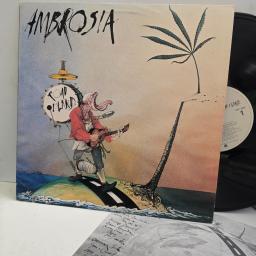 AMBROSIA Road Island BSK 3638 12” LP
