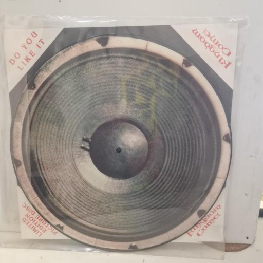 KINGDOM COME Do You Like It KCPDX 3 12” Single picture dsic.