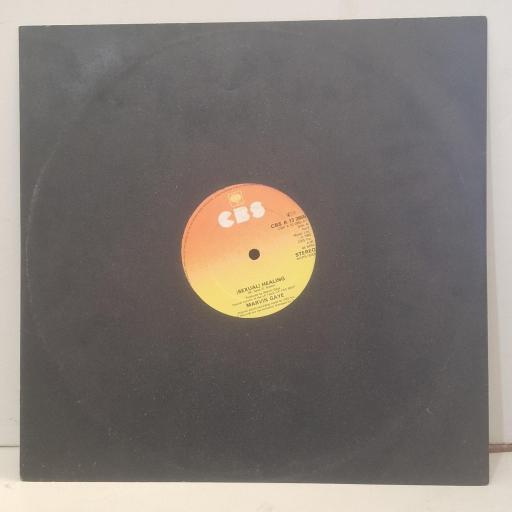 MARVIN GAYE Sexual Healing A 13 2855 12” Single
